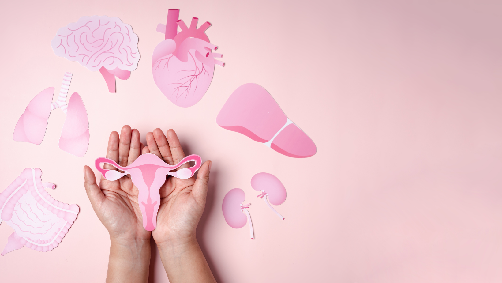 Гінеколог у Києві: професійна турбота про жіноче здоров’я в Universum Clinic