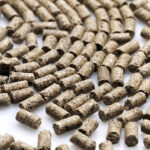 Технология и правила формирования репрезентативной выборки комбикормов