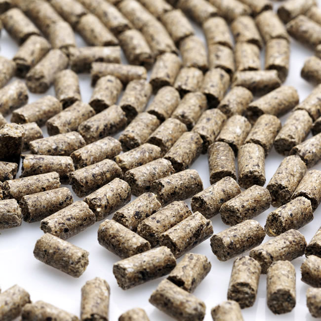 Технология и правила формирования репрезентативной выборки комбикормов